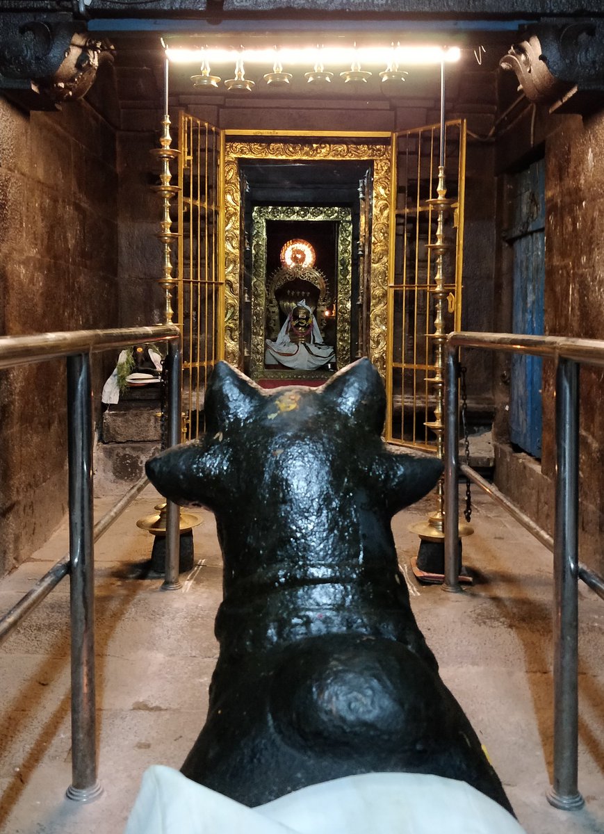 BharathParasur1's tweet photo. Om Namah Shivaya!
There are thousands and thousands of ancient temples in South India alone. Some temples are only recognized and maintained. what happens to the remaining temples? Does Aranilaya thurai taking care of it? #QuestionsThatKeepMeAwake #NeedAns #OmNamahShivaya https://t.co/OCAtqsPFk9