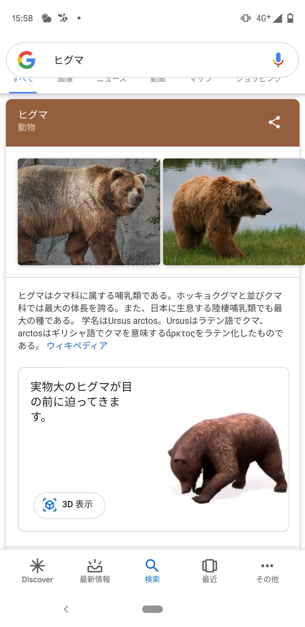 Twitter पर のぶクマ ヴァイオレット クマーガーデン クマ関係の皆様へ Google検索でヒグマと調べてみてください 3dモデルの ヒグマがでてきて 現実世界との重ね合わせもできるみたいです