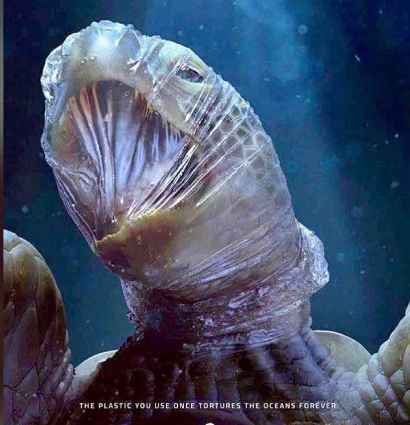 Lornah Olumah (@lolumah) on Twitter photo 