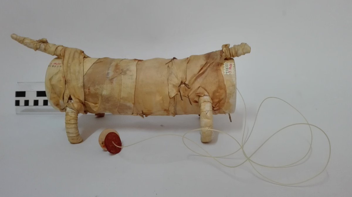 PepeMolt's tweet photo. #Bimembranófono.
#Membranófono de fricción indirecta. #Costa de Marfil, #África, circa 1920.
#Membranophone of indirect friction. #Ivory Coast, #Africa, C. 1920.
Constructor/Maker: #PepeMoltó
#Instrumentodemúsica #Musicalonstrument #Patrimonio #Heritage #Patrimoine https://t.co/nL8hLBqQBG