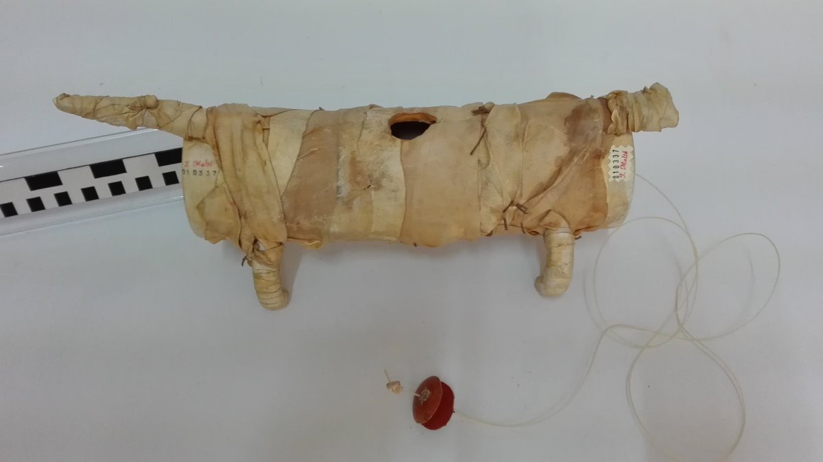 PepeMolt's tweet photo. #Bimembranófono.
#Membranófono de fricción indirecta. #Costa de Marfil, #África, circa 1920.
#Membranophone of indirect friction. #Ivory Coast, #Africa, C. 1920.
Constructor/Maker: #PepeMoltó
#Instrumentodemúsica #Musicalonstrument #Patrimonio #Heritage #Patrimoine https://t.co/nL8hLBqQBG