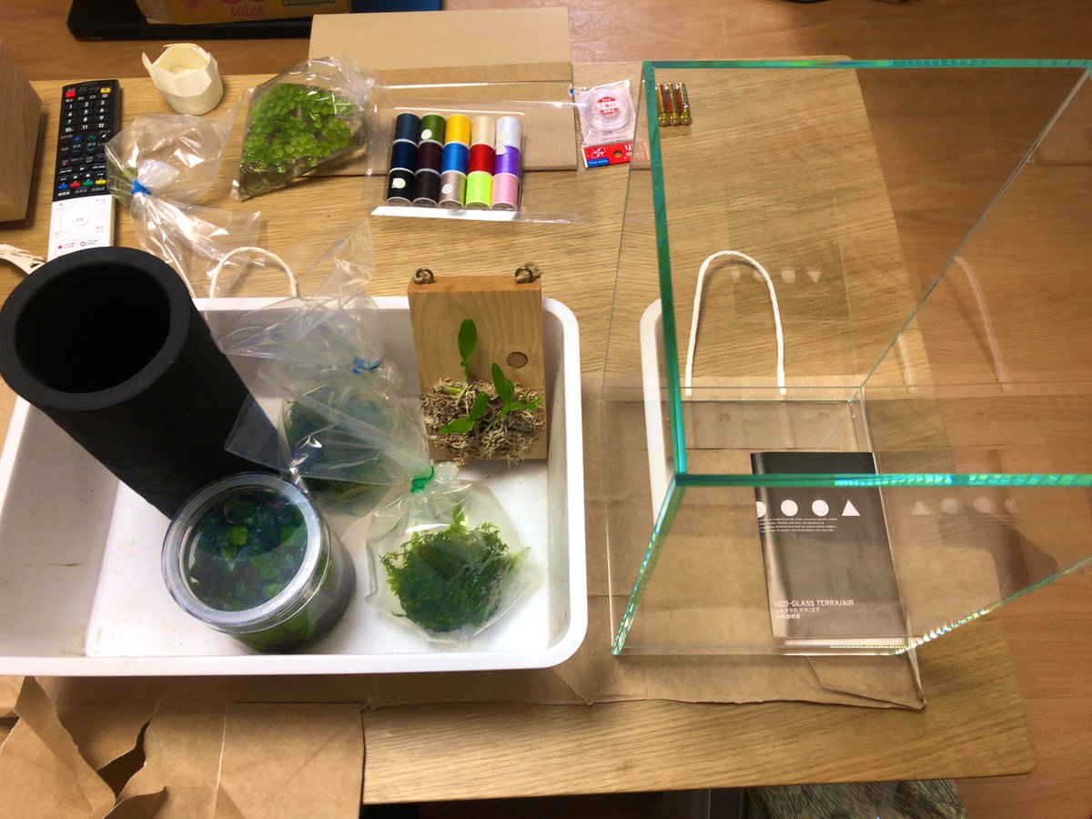 「自分への誕生日にテラベースという着生植物を育てるシステムを買いました。
世界観っ」|リアス　RIASのイラスト