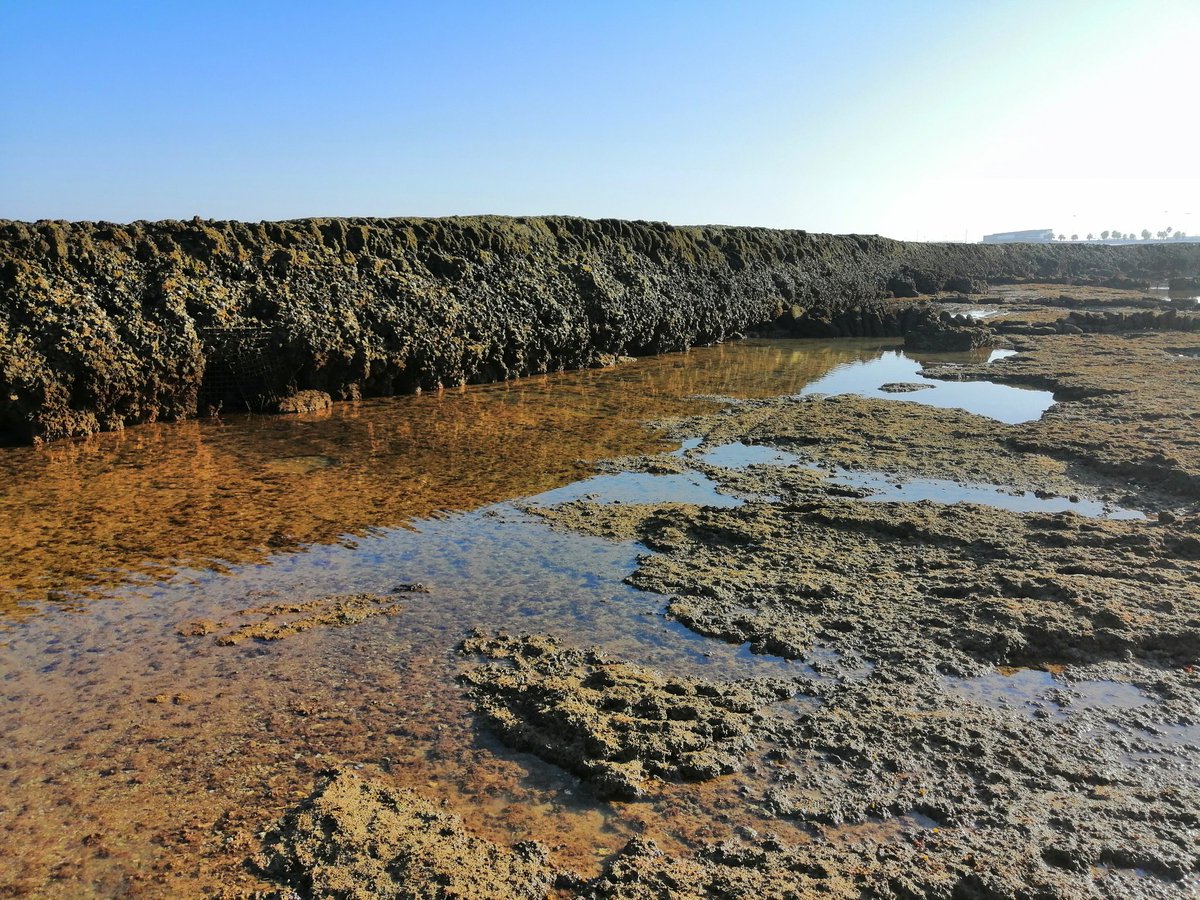 Un Destino Entre Mis Manos tweet media