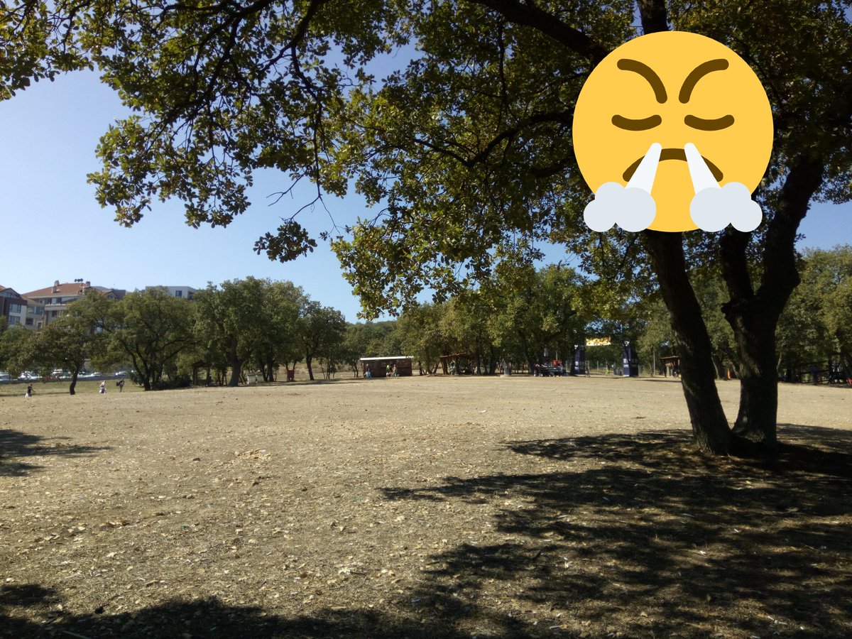 LaTeteDeTurc's tweet photo. Alın size içine edilen Balat Çölü...eski adıyla Balat Ormanı... Sırf dandik pazarlama organizasyonları için mahvedilen sözde ormanda yeşillik namına birşey kalmamış... Gülümseyemiyoruz... 😤 @NiluferBel @MimarTurgayErdm https://t.co/uJ1IKHhohF
