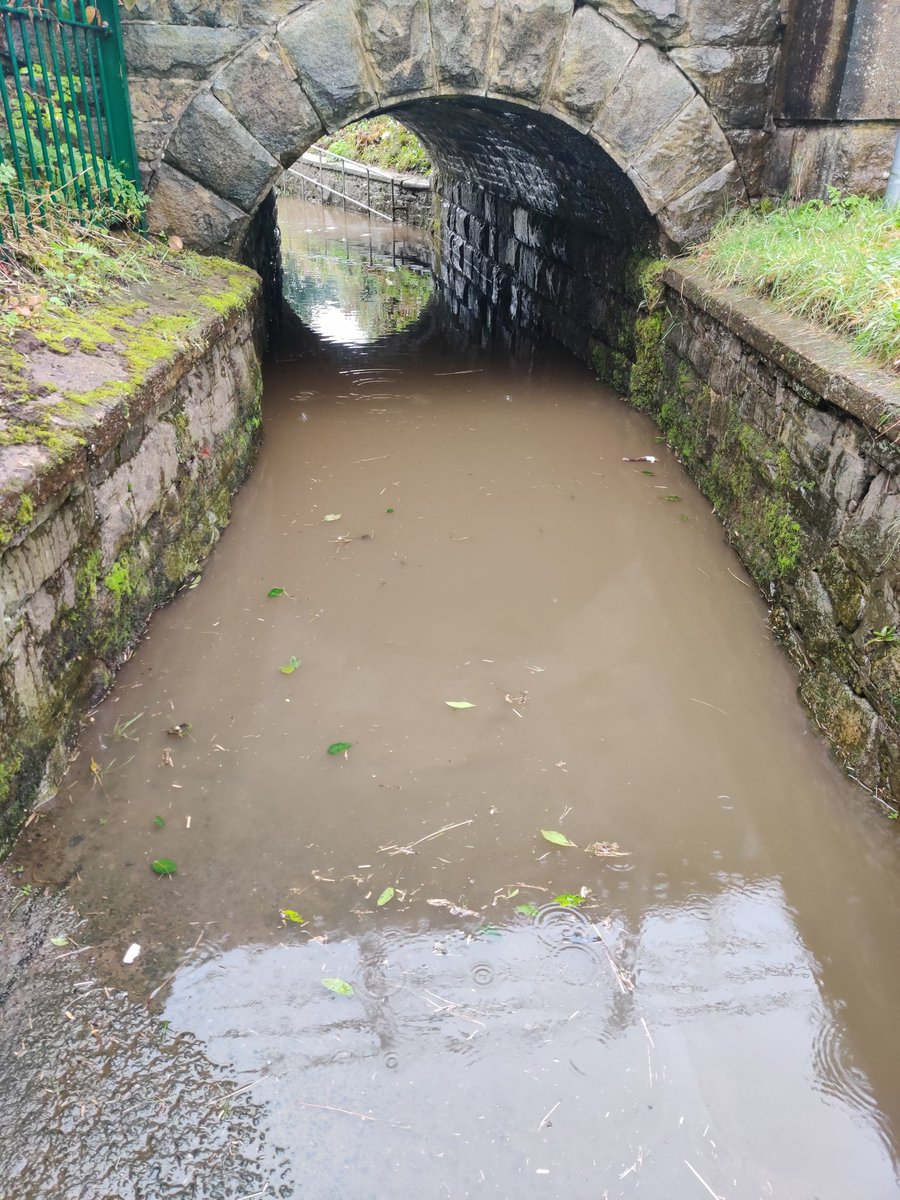 Emma Greenwood (she/her)🌍💚 tweet media