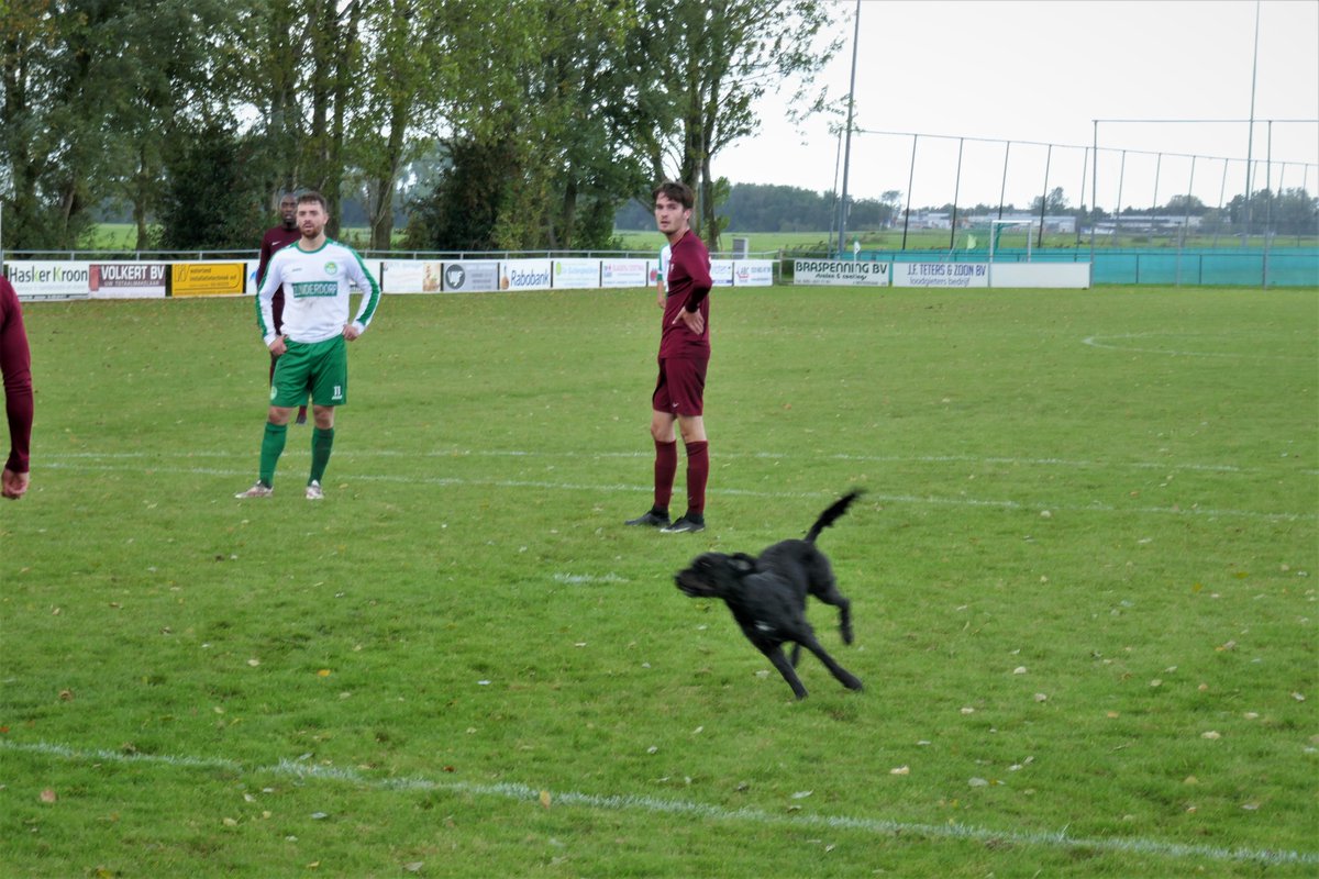 De Dwarslat tweet media