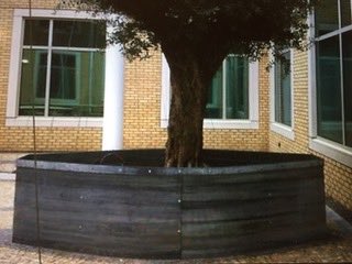 ableservicesdes's tweet photo. If you need a bespoke metal planter in your courtyard for your new olive tree, give us a call!  #mancmade https://t.co/hPIbQMl0n4