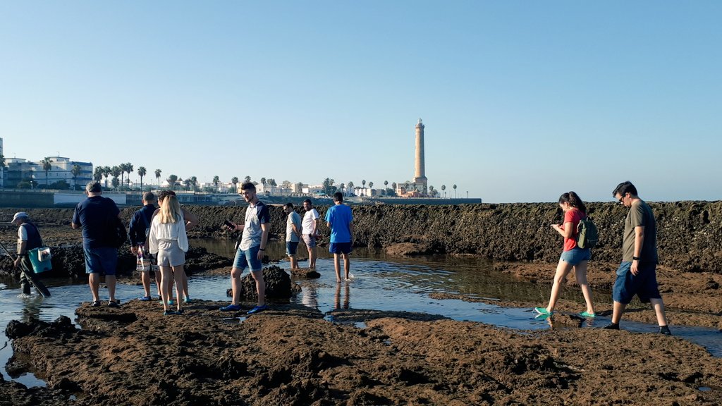 Food & Travel by Teresa Lorenzo tweet media