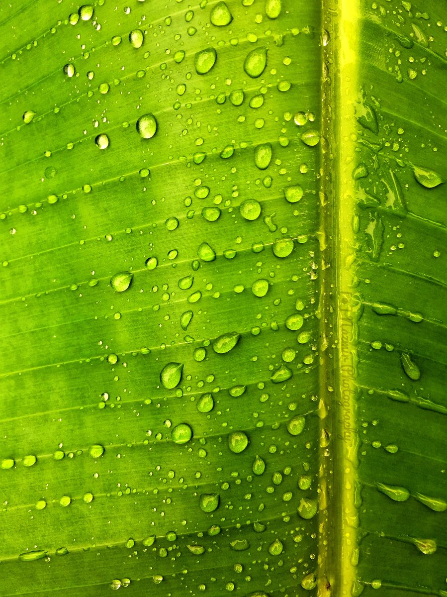 Water Drop Twitter Search Water Drop Twitter Search