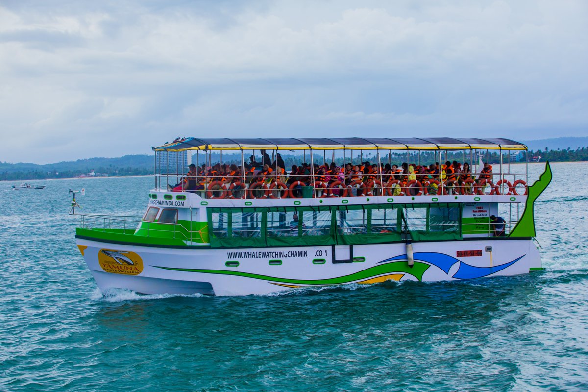 Enjoy #WhaleWatchingMirissa on the Most Comfortable Passenger Cruiser in Mirissa.😀🇱🇰🐬❤️
For more info visit us @http://whalewatchingmirissa.lk/