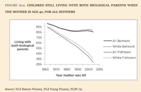 Children living with both biological parentsAffluent families in 1960: 95%Working class families in 1960: 95%Affluent families in 2005: 85%