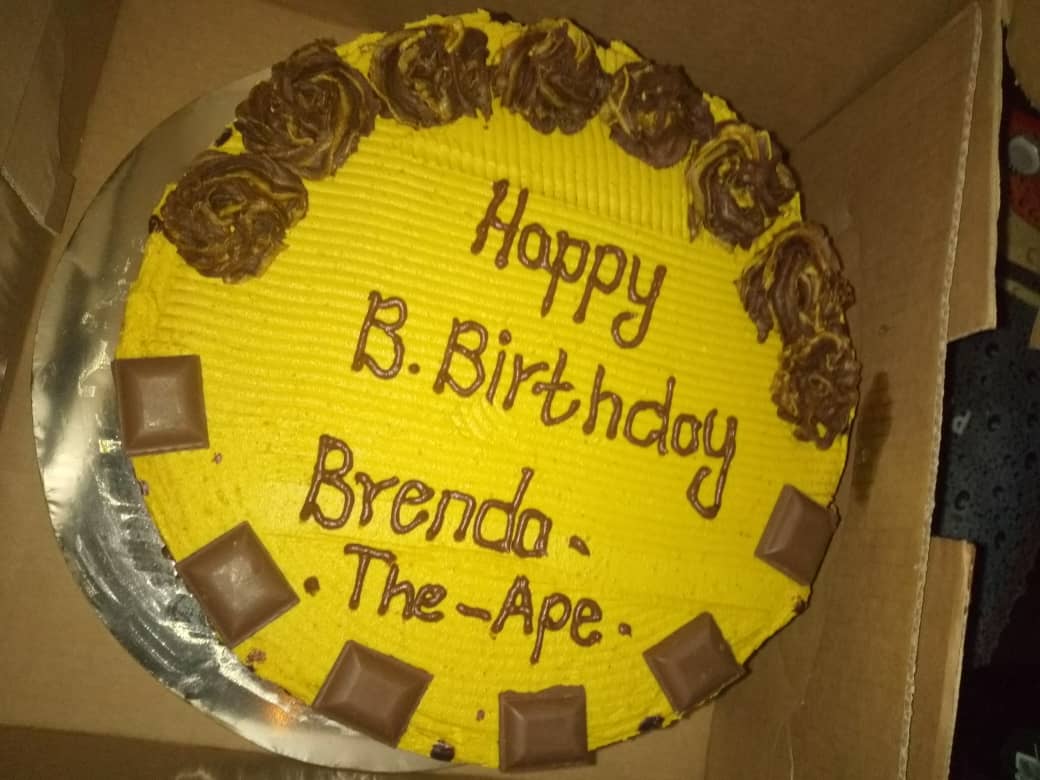 brendah_ape's tweet photo. B.Birthday memories...
To my #DestinationBirders family,thanks for honoring my invitation. Bestie of all seasons @mweinemamburing and @irynpretiek thanks for the love. Rukundo egumeho. https://t.co/bimLbc6Ed6