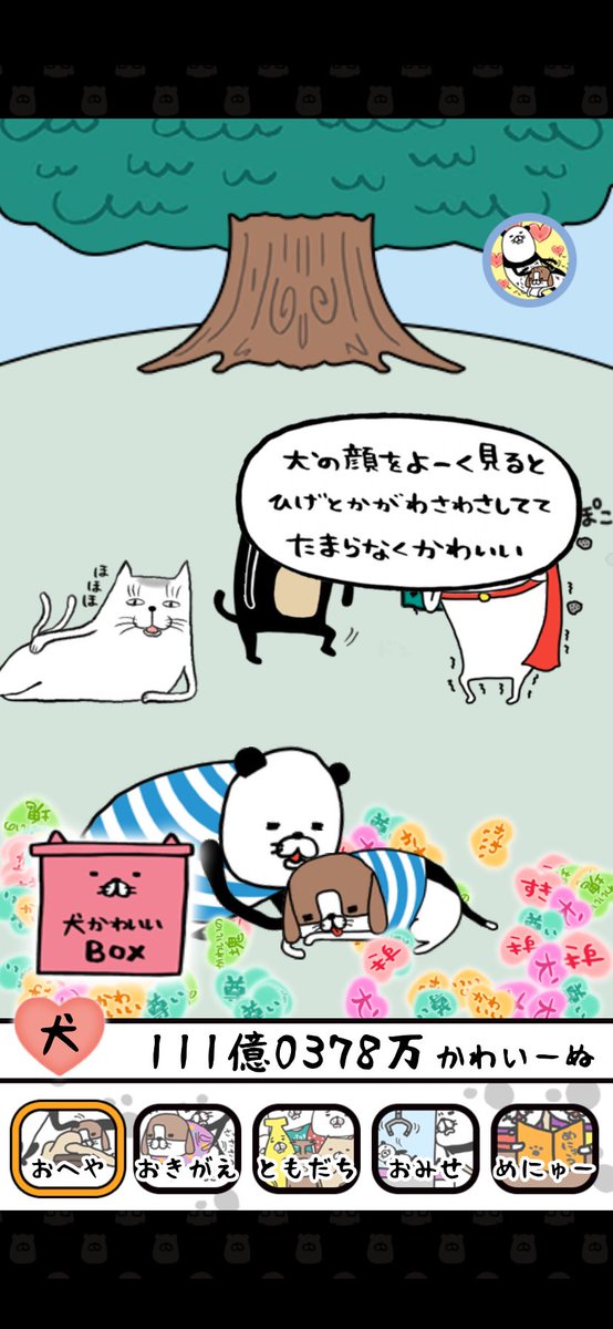 よっぴぃ Yoppi 22 Twitter よっぴぃ Yoppi 22 Twitter