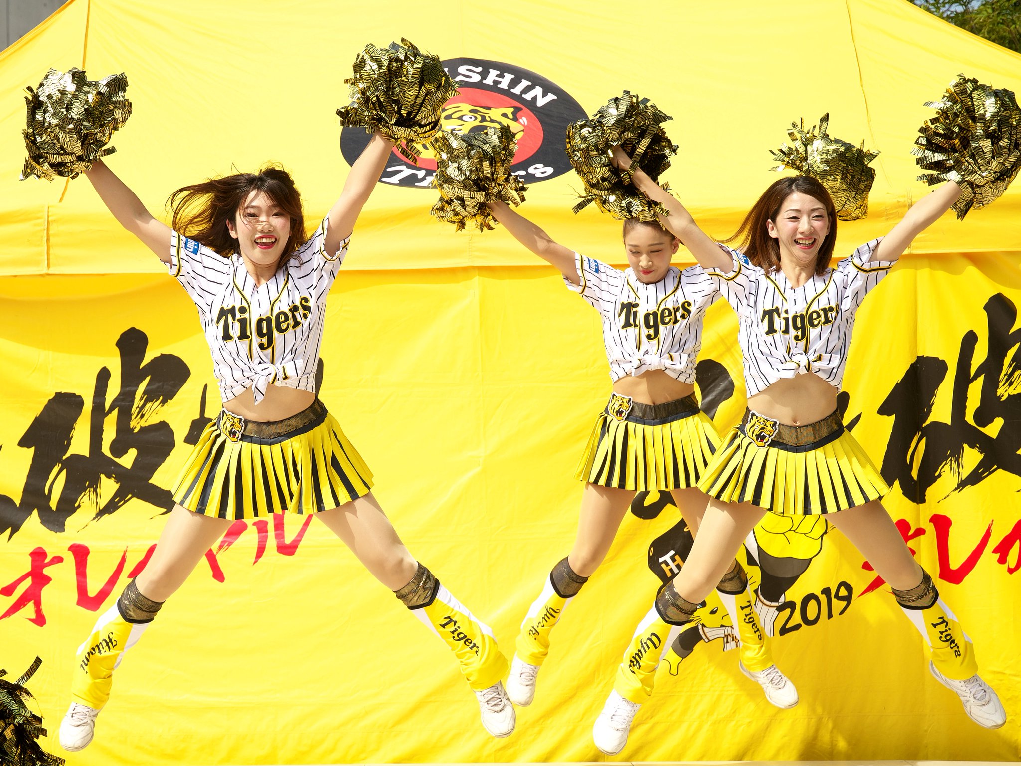 タイガースダンスアカデミー チア 150cm sddefault.jpg?v=68214428