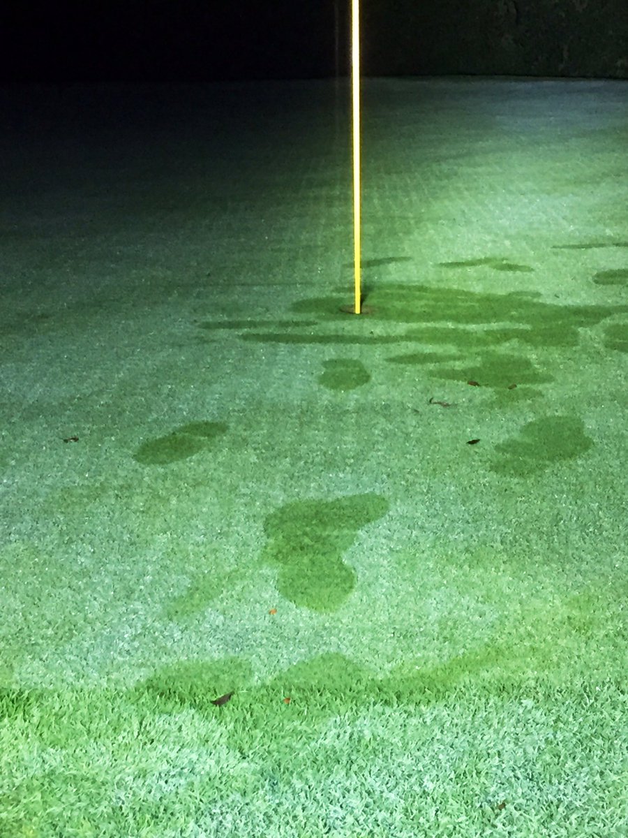 francisdmarion's tweet photo. At the time of aerification an organic 10-2-8 was applied, greens grade, in the holes to aide in recovery. Growth rate in the linear aerification holes is unreal and visible under the morning LED Zombie Light Bar. #NatureSafe #ChickenShit https://t.co/huJVOVCEcK