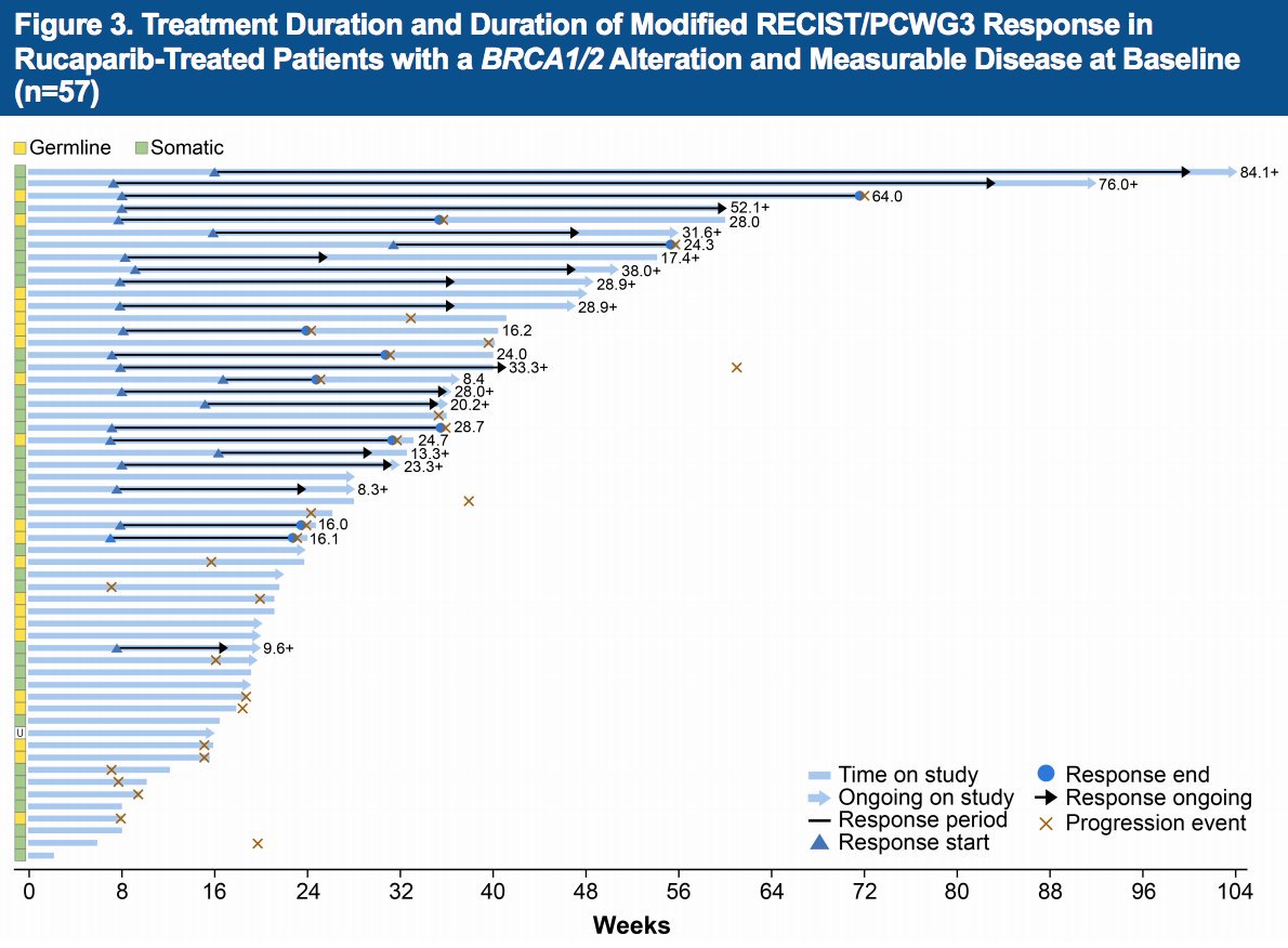 Updated results from TRITON2: rucaparib for mCRPC pts with DRD

n=190

BRCA pts: 43.9% radiographic response (60% response >24 weeks), 52.0% PSA response 

No radiographic response for CHEK2 or CDK12, 9.5% for ATM

@urotoday #ESMO2019 #ESMO19