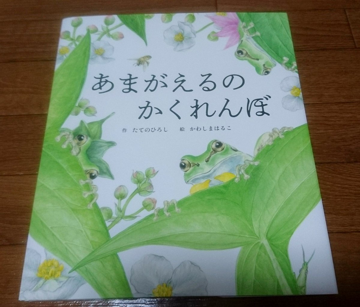 えこ على تويتر あまがえるの かくれんぼ 世界文化社 周りの色に合わせて体の色を変えられるあまがえる の習性を生かした絵本 絵が綿密で綺麗なのに あまがえる達がとても可愛らしい かわしまはるこさんの観察力なんでしょうね 舘野鴻さんの生物絵本は間違い