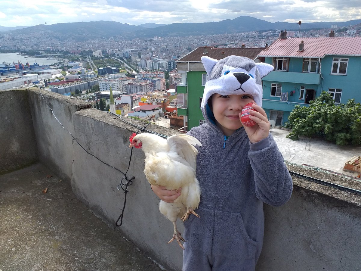 #pazar
#funnyvideo
#eğlenceliçocukvideosu 
Kurt gören tavuk korkudan sürpriz yumurta yumurtladı 🥰
youtu.be/PmEh2RHAxLU