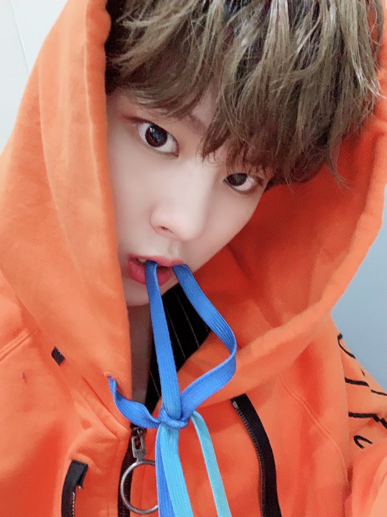 PDXKDH's tweet photo. YES I HAVE AN ORANGE JUMPER THE EXACT SAME COLOUR
#ONEITSELCADAY I’m coming for you next month https://t.co/s99HkSwHAM
