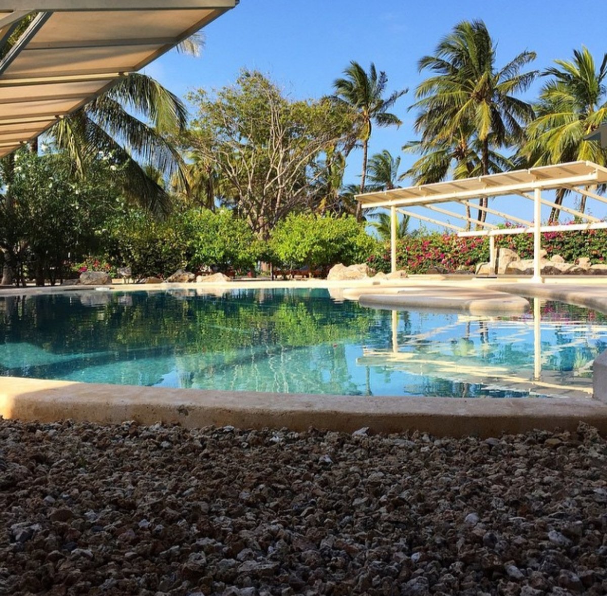 inspiredtobcome's tweet photo. #sosereneweddingvenue #honeymooninafrica #diamondresorts #diamondsdreamofafrica #malindi #whyilovekenya #makelastingmemories with #tembeaafrique πΎπΎπΎπΎ #beachgetaway #magicalkenya https://t.co/2SpE0eHVwj