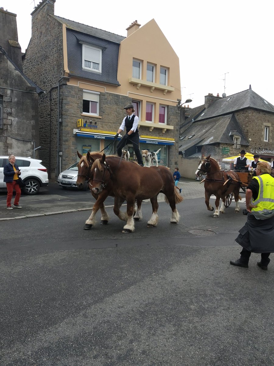 ChrisCocooning's tweet photo. Ballade au défilé de mille sabots @lamballe @cotesdarmor22 https://t.co/XzWIipEcaX