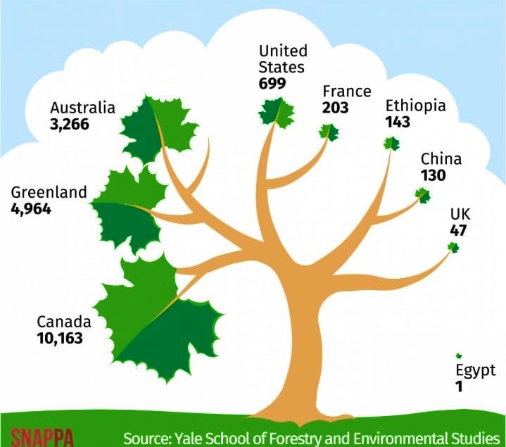 garethhorsfield's tweet image. I wonder how many trees per person Zimbabwe has? I suspect it’s declining. Plant trees for #ClimateAction! @GretaThunberg @GeorgeMonbiot @SwedeninZW
