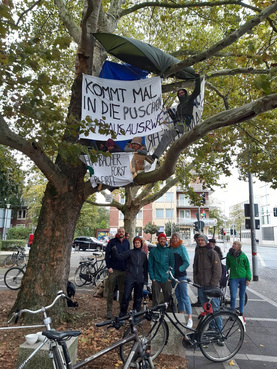 fossilfreeMS's tweet photo. Das neue #Baumhaus "LeWeL up" vorm Landeshaus des @lwl_aktuell sendet solidarische Grüße an die @HambiBleibt! Alle Kommunen müssen #RausAusRWE - @RWE_AG baggert so nah an den Hambi heran, dass dieser zu sterben droht. One struggle, one fight!
#DivestLWL #By2020WeRiseUp https://t.co/RfV4q8dRYw