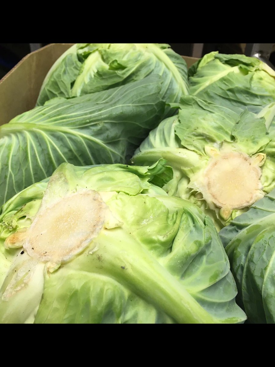 Woods fruit and veg tweet media