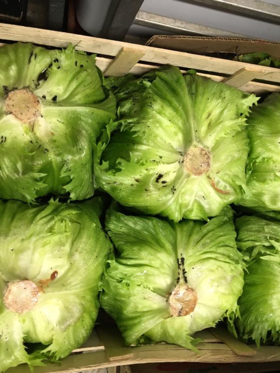 Woods fruit and veg tweet media