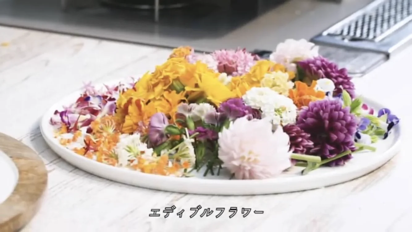 モコズキッチンはYoutubeチャンネルでもぶれてなかったwww