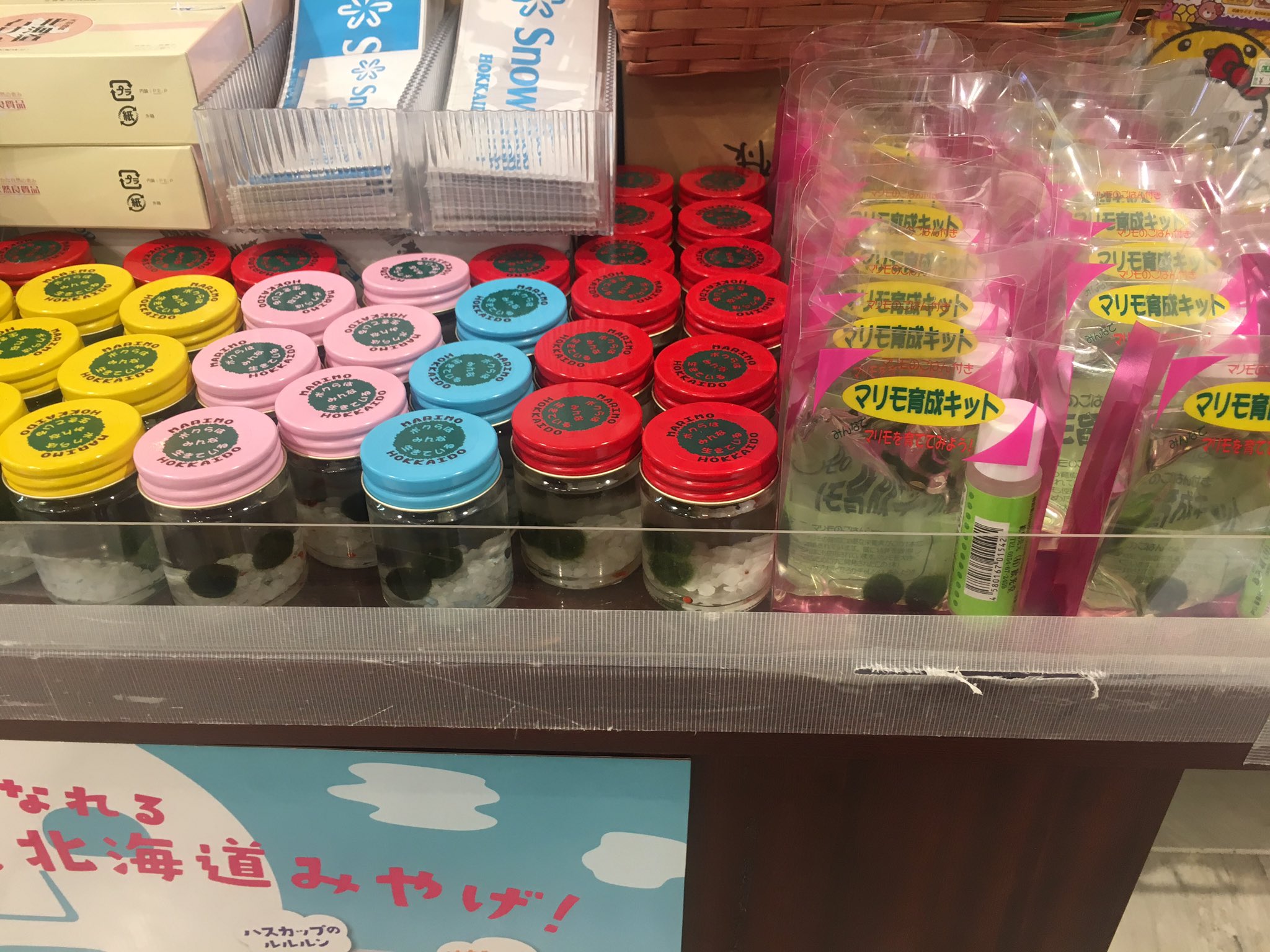 ゆー 新千歳空港にまりもちゃんいた T Co Jnxf5q9ohp Twitter