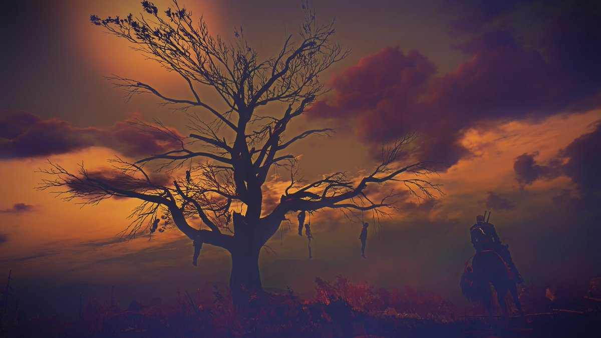 Rosapexa's tweet photo. Some old pictures of the Hanged Man's Tree.
Well, except the fourth. I just didn't want to post it separately.
#TheWitcher3
#ShotWithGeforce
#TCCSingleTree
#VPArchiveHour by @TheFourthFocus https://t.co/Gqh1oMEHj1