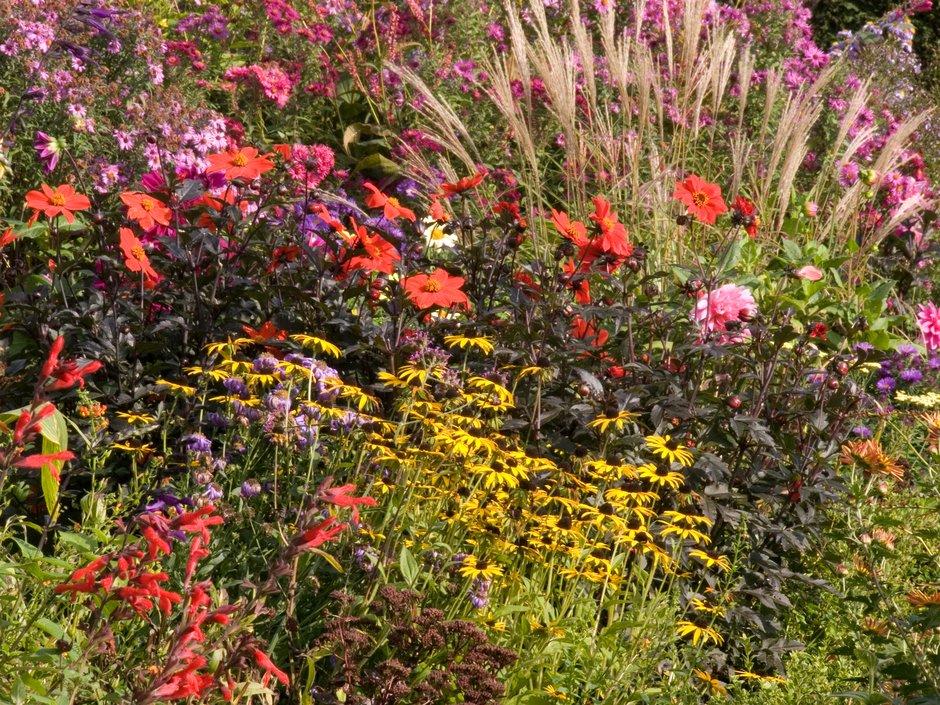 The Rhs On Twitter Autumn Border Inspiration Featuring