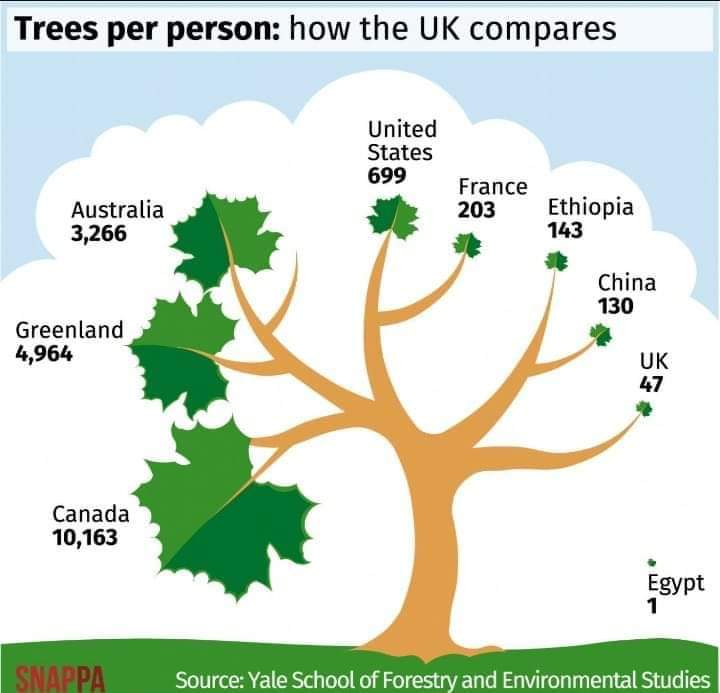 UK not looking good on the tree front (amongst others! 😖) Have you room for a fruit tree in your garden? Fruit for you, nectar for the bees too. Or do you fancy a go at #guerillaplanting?🦍🌰🌳
#Trees #biodiversity #ClimateAction