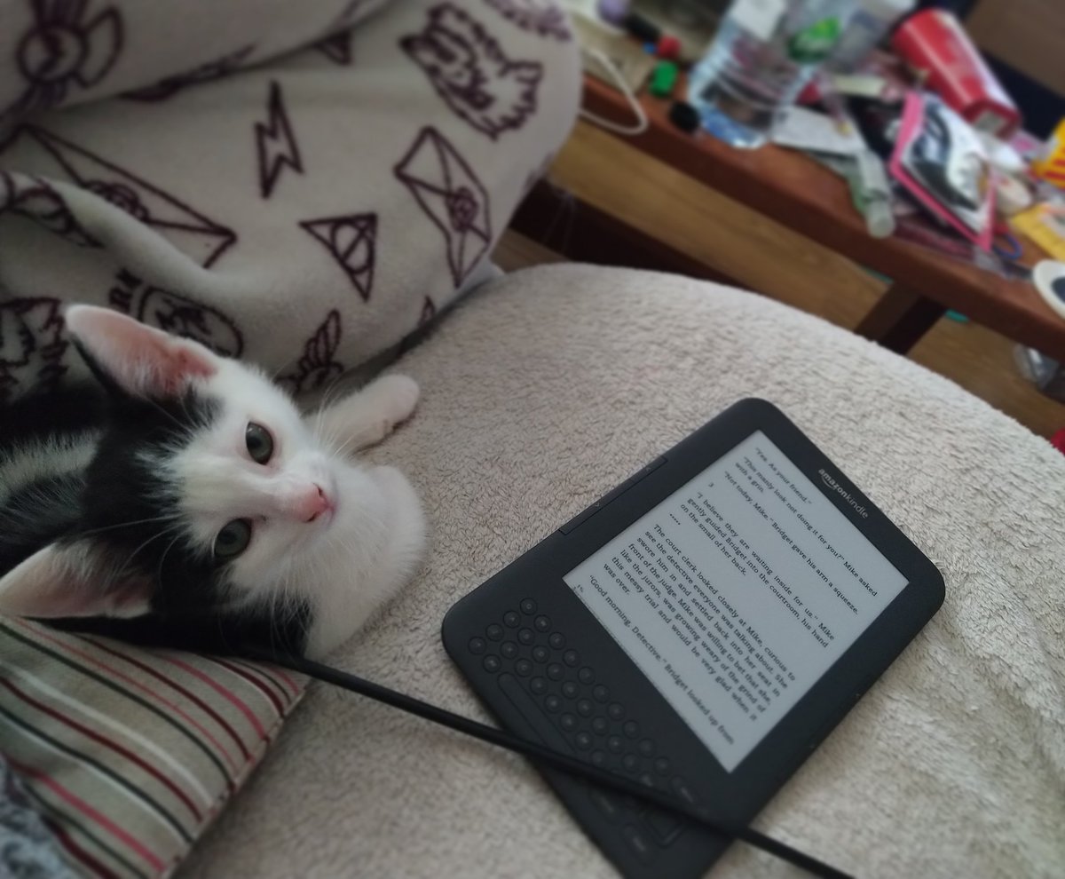 smbslt's tweet photo. Up next #reading #book #TheManattheDoor by #author #DesmondPRyan

*

#bakersblogtour #read #MikeOShea novel #kindle #blogtour #ebook 

*

#pawsandpages #kitten #catsandbooks #cuddledup (for 5 minutes) 🤓 https://t.co/56X84D6kkL