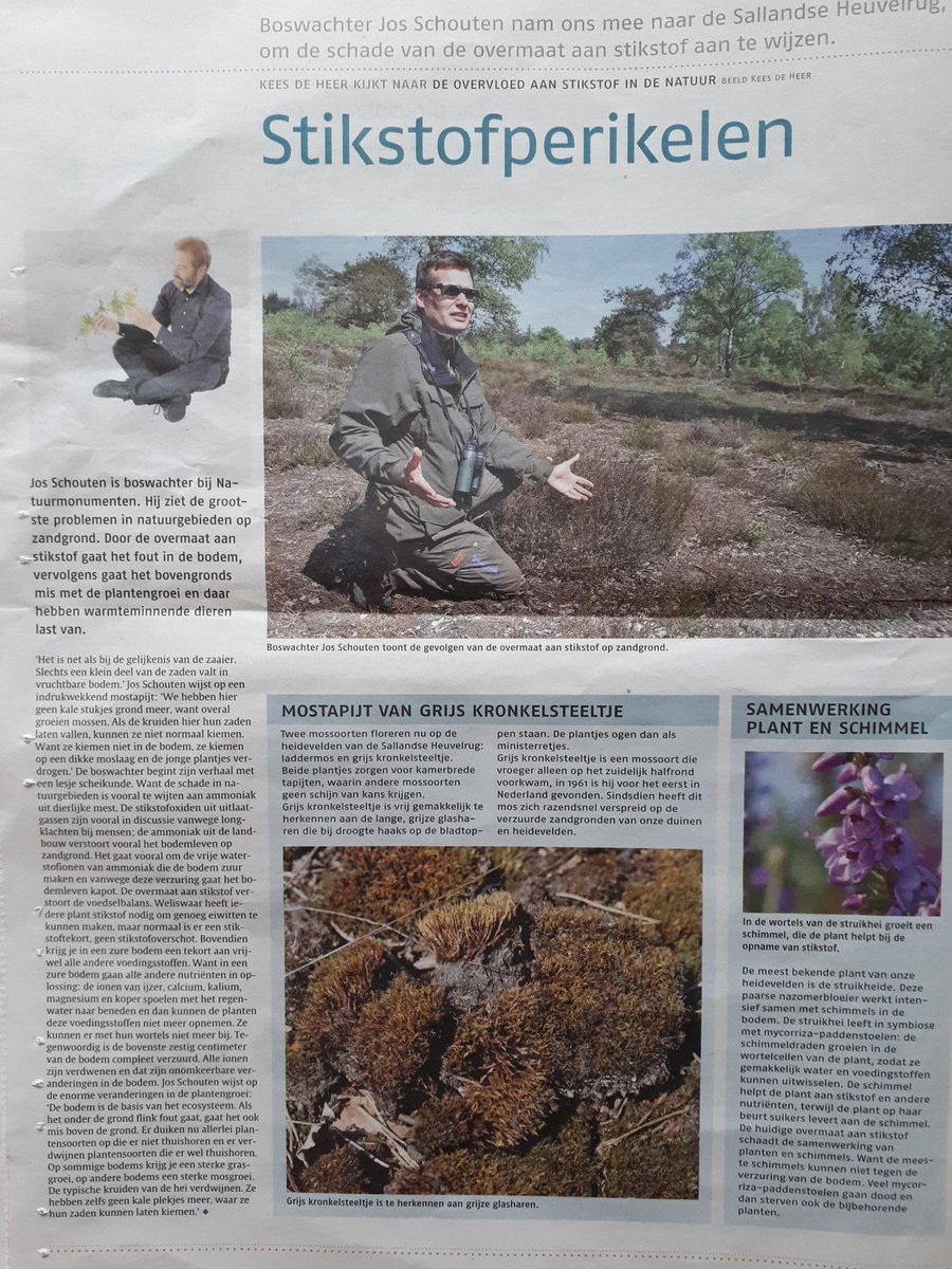 Een goed artikel in mijn ochtendkrant, waarin <a href="/JosSchouten/">Jos Schouten</a> prima uitleg geeft wat de stikstofdepositie doet met het heidemilieu op de #SallandseHeuvelrug