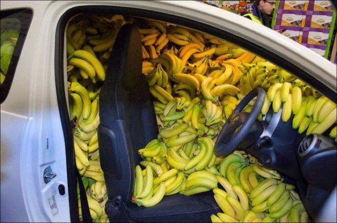 OC: “WHY ARE THE BANANAS ALWAYS GONE WITHIN THE DAY”

Students: