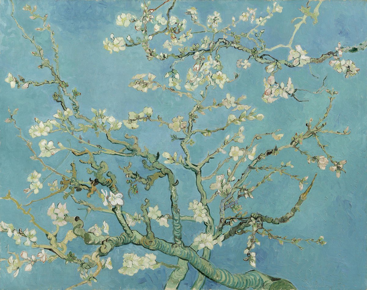 vangoghmuseum's tweet photo. One of Vincent’s favourite subjects. Large blossoming branches against a blue sky. Almond trees flower early in the spring, making them a symbol of new life. The painting was a gift for his brother Theo and sister-in-law Jo, who had just had a baby son: Vincent Willem. https://t.co/sJms4Pg6Bz