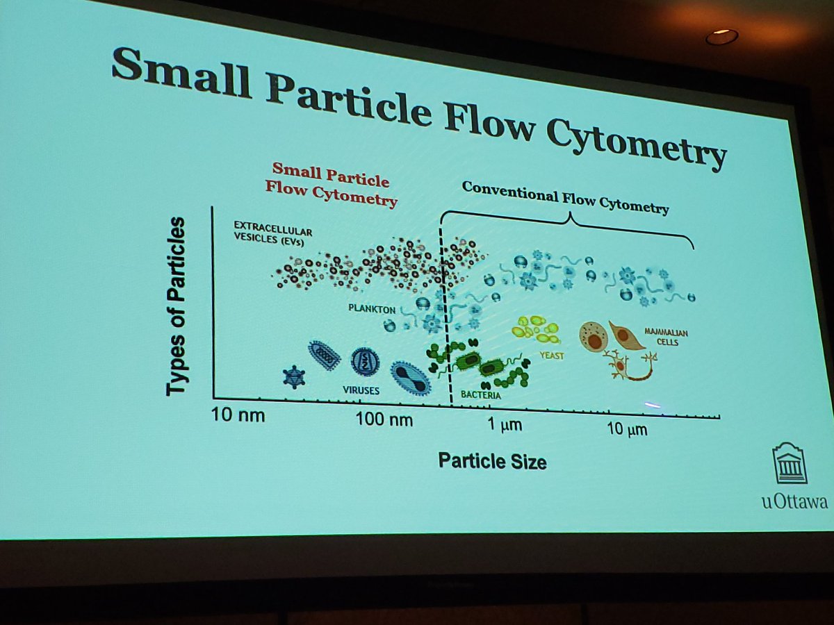 jbackflow's tweet photo. #flowvirometry with Vera Tang @gliifca. How low can we go?! https://t.co/sIABBoXCrl