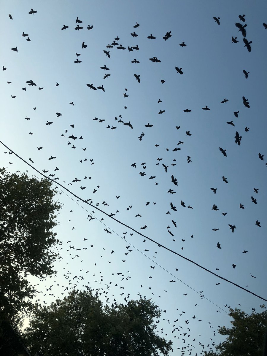 Vay güllerle, ağaçlarla, kurtlarla, kuşlarla konuşamayanların haline! Rüzgârların, derelerin ve dağların dilinden anlamayan, Cehennem’i uzak bir âkıbette aramasın sakın. 

• Nurettin Topçu, Var Olmak.