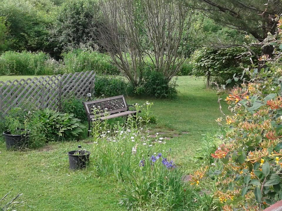 Gitanjali Devi (@gingercatbb) on Twitter photo 