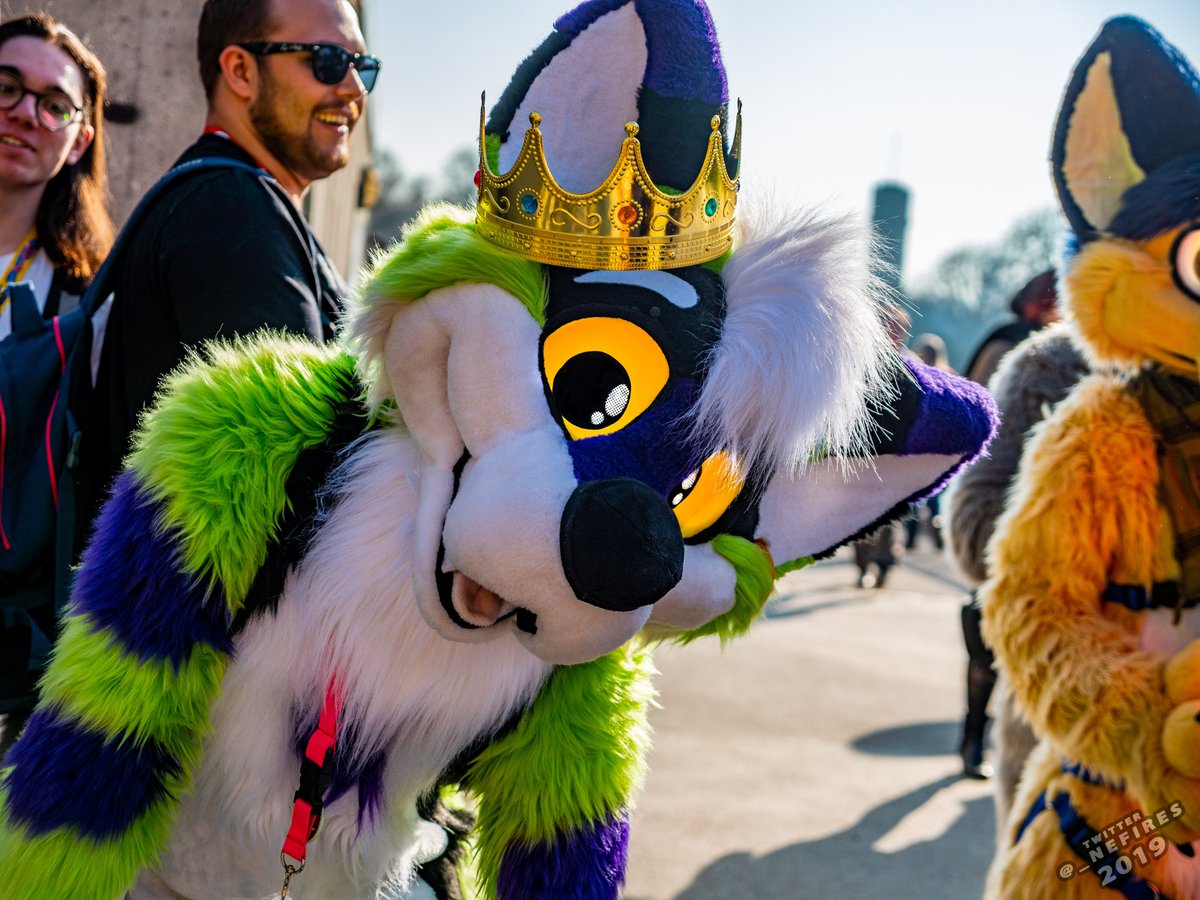 _Nefires's tweet photo. Some more pictures from the MunichSuitWalk 6 in March 2019. #MSW6 ^.=.^
1. @FluffySnifix
2. @The_Shirefox
3. ? (Please help tagging him :))
4. @RafaGreenfur
Register now for the Munich Fursuitwalk 7 !
https://t.co/mxumx528Q3
@BayernFurs
#Suitwalk #Furry #MSW7 https://t.co/EGev0f2zmq