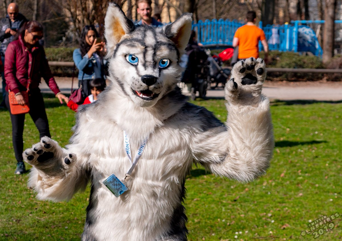_Nefires's tweet photo. Some more pictures from the MunichSuitWalk 6 in March 2019. #MSW6 ^.=.^
1. @FluffySnifix
2. @The_Shirefox
3. ? (Please help tagging him :))
4. @RafaGreenfur
Register now for the Munich Fursuitwalk 7 !
https://t.co/mxumx528Q3
@BayernFurs
#Suitwalk #Furry #MSW7 https://t.co/EGev0f2zmq