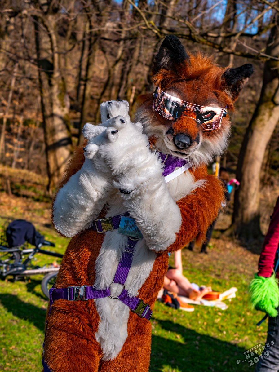 _Nefires's tweet photo. Some more pictures from the MunichSuitWalk 6 in March 2019. #MSW6 ^.=.^
1. @FluffySnifix
2. @The_Shirefox
3. ? (Please help tagging him :))
4. @RafaGreenfur
Register now for the Munich Fursuitwalk 7 !
https://t.co/mxumx528Q3
@BayernFurs
#Suitwalk #Furry #MSW7 https://t.co/EGev0f2zmq