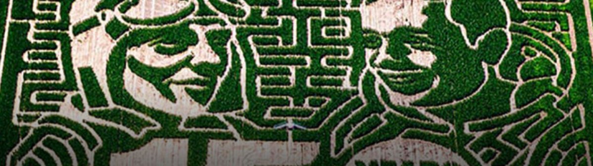 Syngenta tweet media