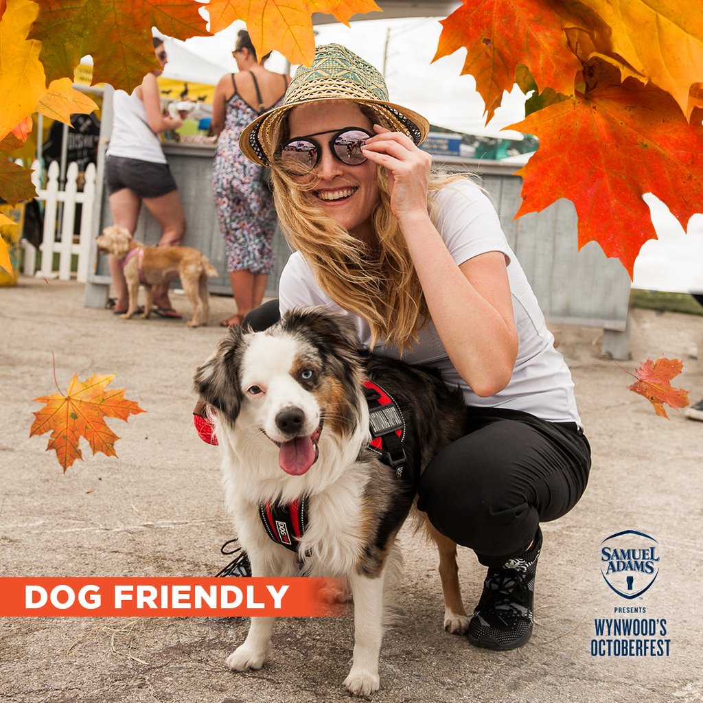 WynwoodSamAdams's tweet photo. Beer for the human and a treat for the pup 🐶 

Swing over to Wynwood's Octoberfest today at @wynwood_marketplace and your dog can enjoy FREE treats from @frenchiesofthegalaxy with reservation at https://t.co/fwAAeSYhdK 🐾 https://t.co/9BeNULuCX9