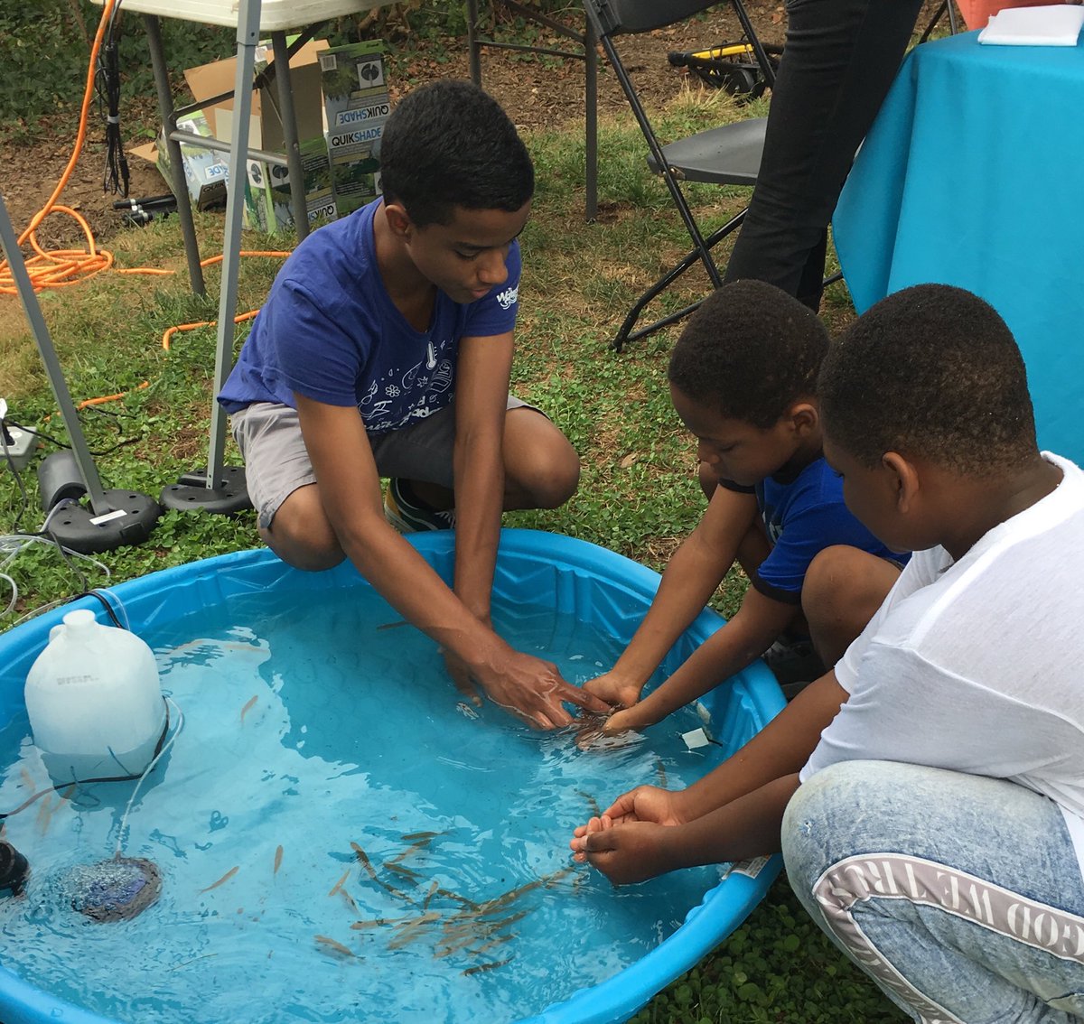 Anthony Cucchi tweet media