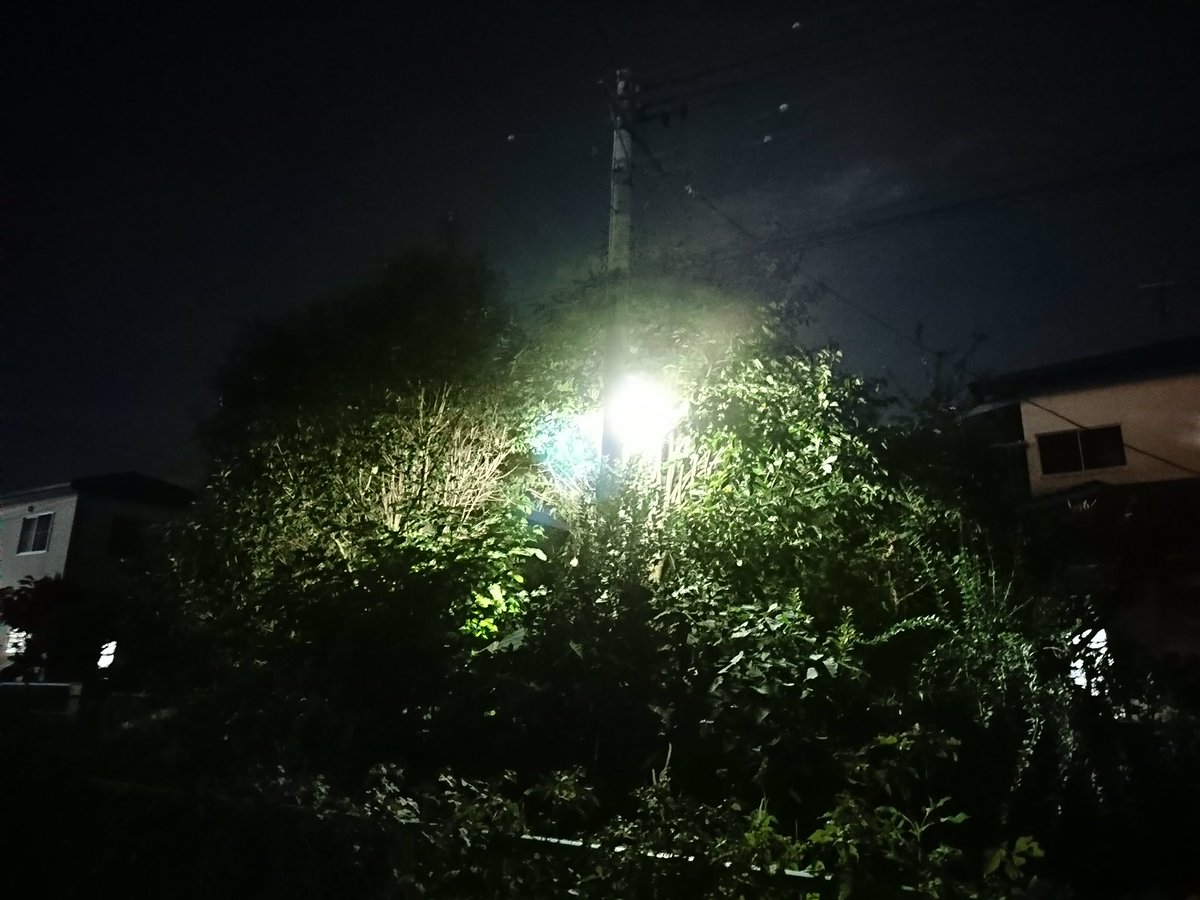 きくたけ クリスタの写真のイラスト化凄い 少し手加えれば背景描く必要なくなるんじゃないか きくたけ クリスタの写真のイラスト化凄い 少し手加えれば背景描く必要なくなるんじゃないか
