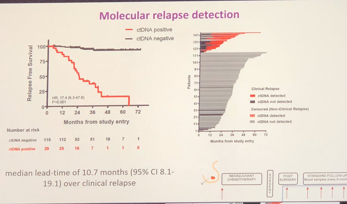 cancermd's tweet image. Brilliant presentation on role of ctDNA in detecting molecular relapse for early stage breast cancer by Nick Turner 1. Biology of breast cancer determined at initial diagnosis 2. Lead time (10mos) prior to clinical relapse 3. Consistent findings across all subtypes #ESMO19 #bcsm