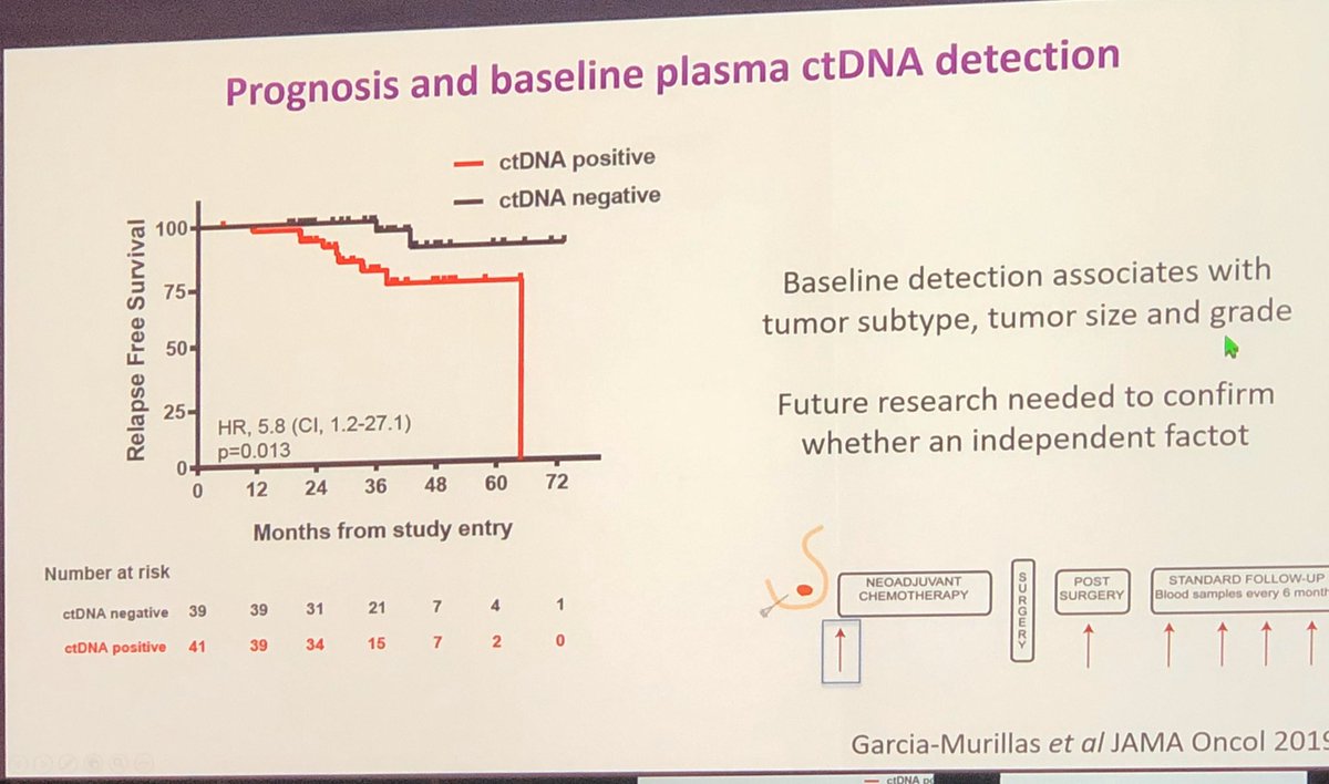 cancermd's tweet image. Brilliant presentation on role of ctDNA in detecting molecular relapse for early stage breast cancer by Nick Turner 1. Biology of breast cancer determined at initial diagnosis 2. Lead time (10mos) prior to clinical relapse 3. Consistent findings across all subtypes #ESMO19 #bcsm